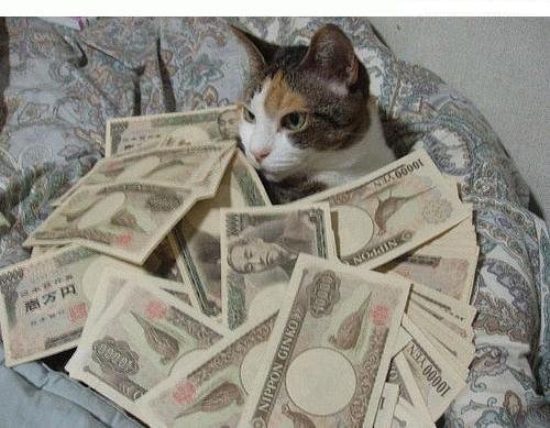 chat